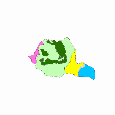Export Image
